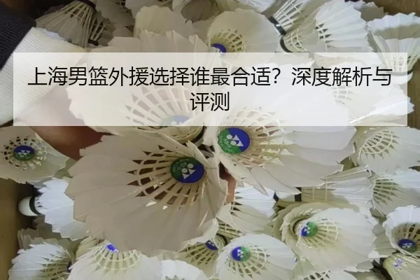 上海男篮外援选择谁最合适？深度解析与评测