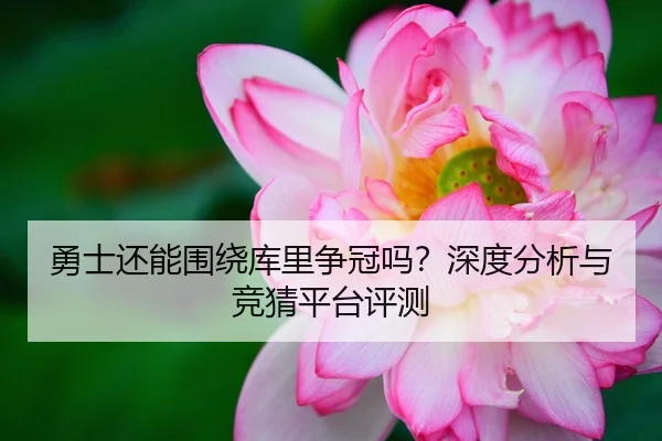 勇士还能围绕库里争冠吗？深度分析与竞猜平台评测
