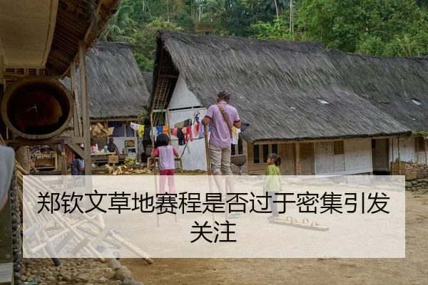 郑钦文草地赛程是否过于密集引发关注